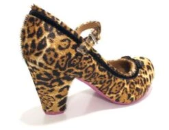Cristofoli Autumnal Eileen Animal Print -Fashion Shoe Store EileenAP3