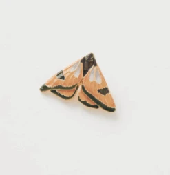 Fable England Enamel Moth Brooch