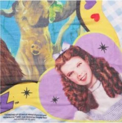 Irregular Choice Wizard Of Oz Never Give Up Scarf -Fashion Shoe Store NeverGiveUpScarf1